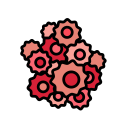 cancer cell