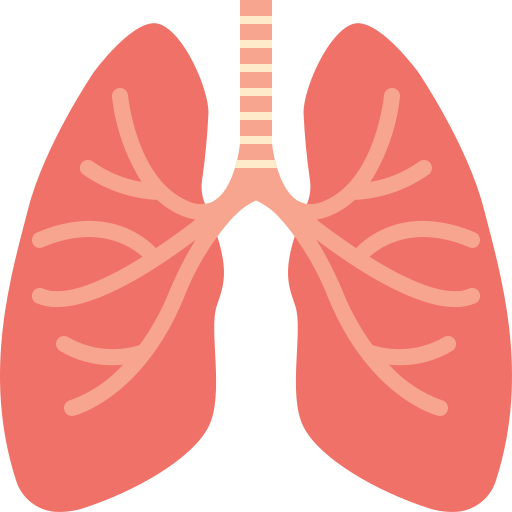 lungs